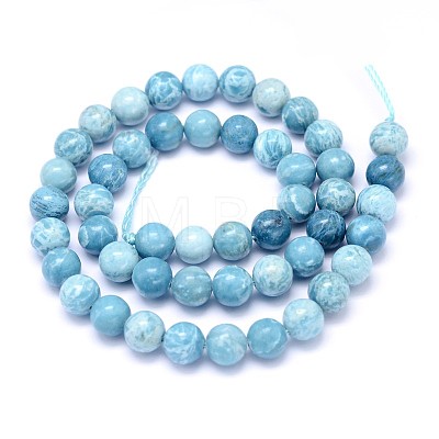 Natural Gemstone Beads Strands X-G-L367-01-8mm-1