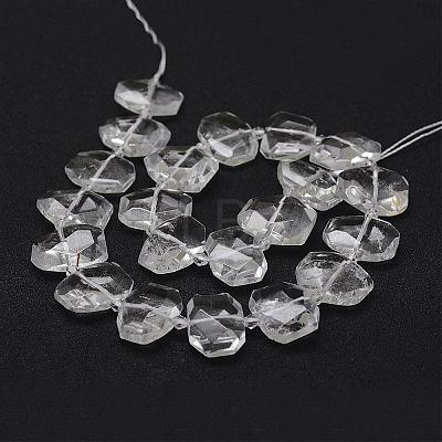 Natural Quartz Crystal Beads Strands G-F474-04-1