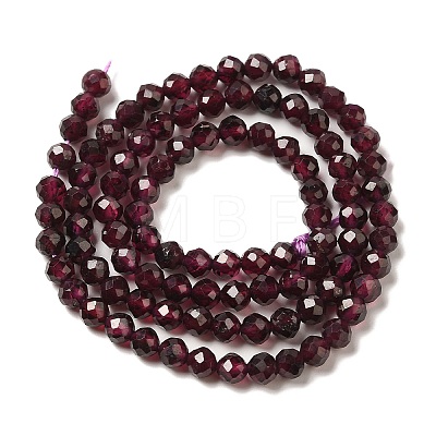 Natural Garnet Beads Strands G-F460-28-01-1
