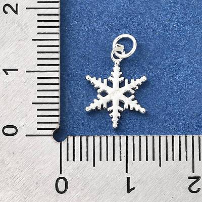 925 Sterling Silver Pendants STER-Q003-01B-S-1