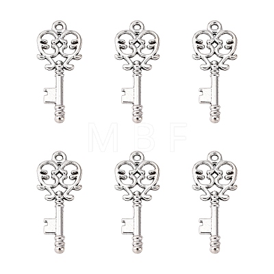 Tibetan Style Alloy Pendants LS-LF11137Y-1