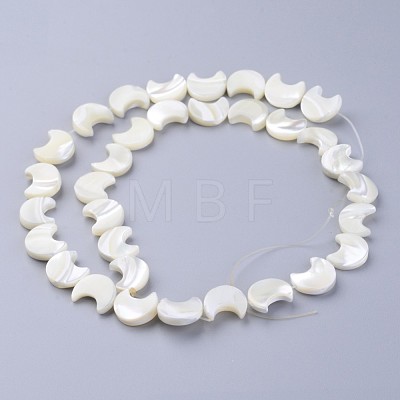Natural White Shell Beads Strands X-SSHEL-12X11-1
