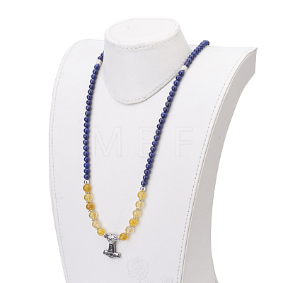 Gemstone Beaded Pendant Necklaces NJEW-JN01990-1