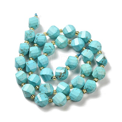 Dyed Natural Howlite Beads Strands G-G023-B01-01B-1