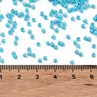 Baking Paint Glass Seed Beads SEED-S042-05B-58-1