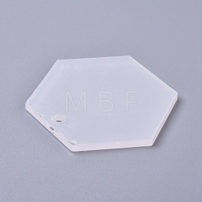 Transparent Acrylic Blank Pendants TACR-WH0002-12-1