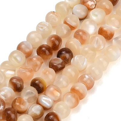 Natural Sea Shell Beads Strands SH-CBA93AD-02-1