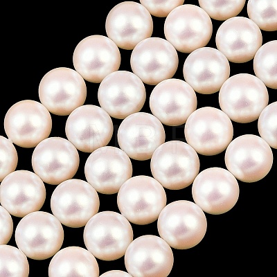 Electroplated Shell Pearl Beads Strands BSHE-C011-01B-1