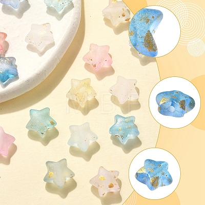 300Pcs 10 Colors Frosted Acrylic Charms OACR-FS0004-09-1