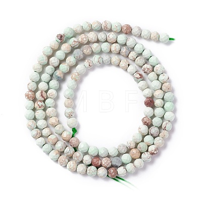 Natural Imperial Jasper Beads Strands G-L578-A02-1