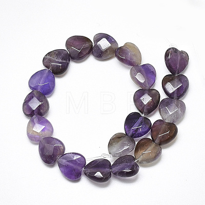 Natural Amethyst Beads Strands G-S357-E01-20-1