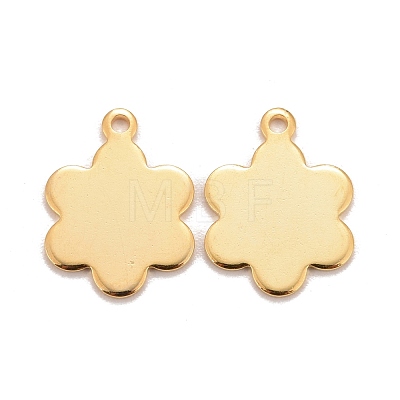 201 Stainless Steel Charms STAS-K217-23G-1