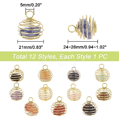   12Pcs 12 Style Iron Wrap-around Spiral Bead Cage Pendants IFIN-PH0001-59-1