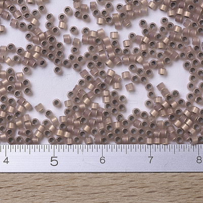 MIYUKI Delica Beads Small SEED-X0054-DBS0191-1