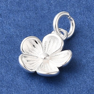 925 Sterling Silver Charms STER-M120-01D-S-1