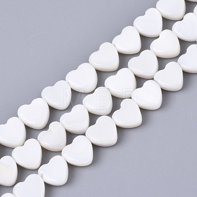 2 Strands Natural Freshwater Shell Beads Strands SHEL-SC0001-85D-1