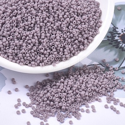 MIYUKI Round Rocailles Beads SEED-X0054-RR0410F-1