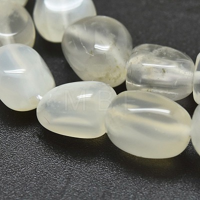 Natural White Moonstone Beads Strands G-O186-C-04-1