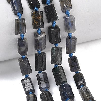 Natural Iolite Beads Strands G-C270-K06-1