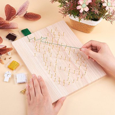 Pineapple Winding Drawing Sets DIY-WH0188-24-1