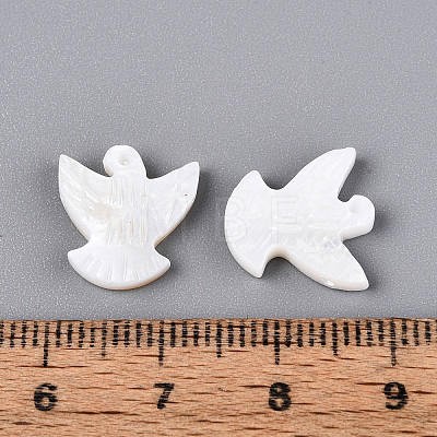 Natural Freshwater Shell Beads BSHE-T014-35-1
