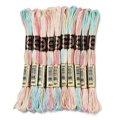 10 Skeins 6-Ply Polyester Embroidery Floss OCOR-K006-A74-1