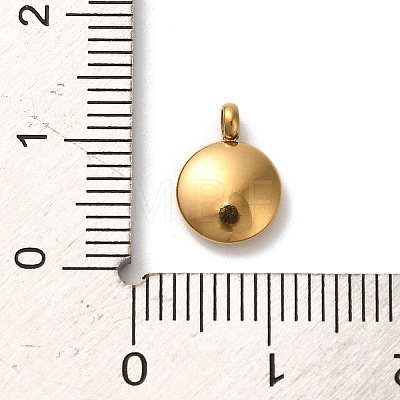 304 Stainless Steel Black Enamel Charms STAS-R009-01G-C-1