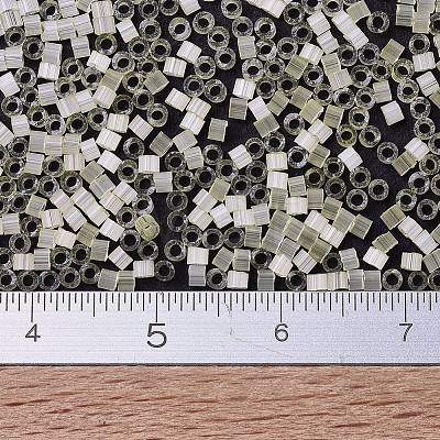 MIYUKI Delica Beads X-SEED-J020-DB0823-1