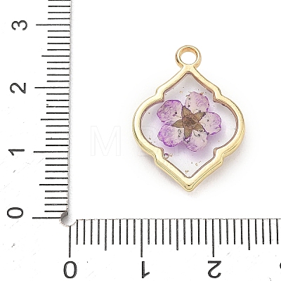 Alloy Epoxy Resin Pendants AL-Z001-08G-05-1