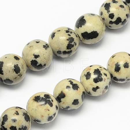Natural Dalmatian Jasper Stone Bead Strands G-R193-14-4mm-1