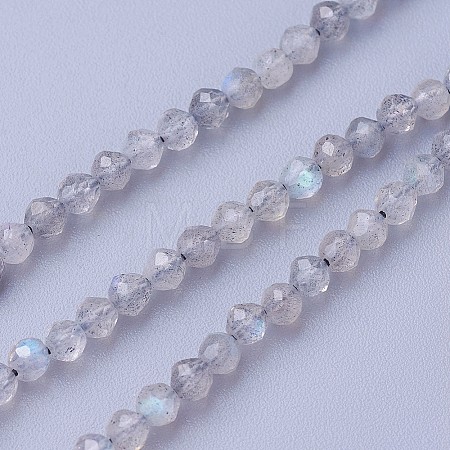 Natural Labradorite Beads Strands LS-G-F619-15-3mm-1