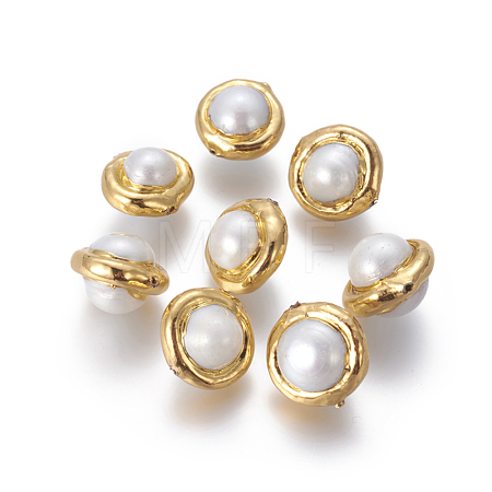 Natural Cultured Freshwater Pearl Beads PEAR-F011-24G-1