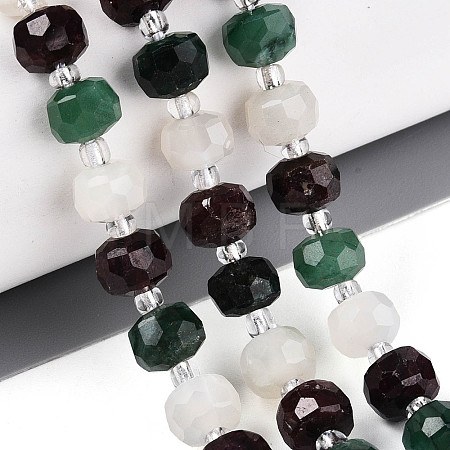 Natural Fuchsite & Garnet & White Moonstone Beads Strands G-T144-20A-01-1