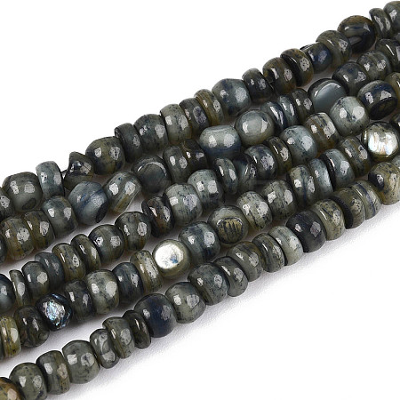 Natural Freshwater Shell Dyed Beads Strands SHEL-T020-29A-01-1