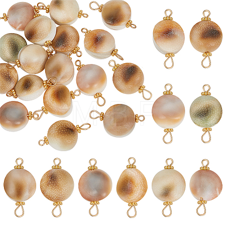 20Pcs Natural Trumpet Shell Bead Connector Charms FIND-BBC0003-12-1