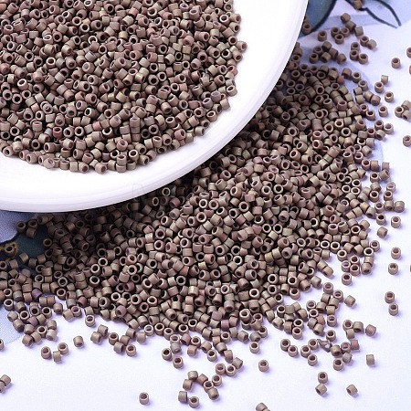 MIYUKI Delica Beads SEED-X0054-DB1061-1