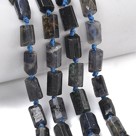 Natural Iolite Beads Strands G-C270-K06-1