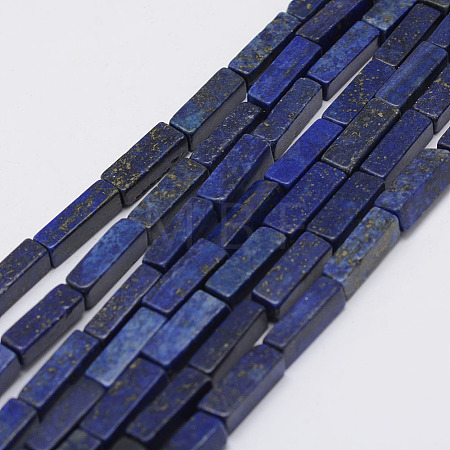 Natural Lapis Lazuli Beads Strands G-F402-11-1