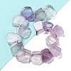 Natural Amethyst Beads Strands G-P528-K03-01-2