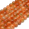 Natural Malaysia Jade Beads Strands G-L645-C01-12mm-29-1