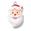 Christmas Opaque Resin Pendants LS-RESI-A049-05B-1