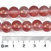 Frosted Transparent Glass Bead Strands GLAA-P065-10mm-06-3