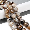 Natural Eye Agate Beads Strands G-NH0019-F02-02-2