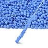 8/0 Glass Seed Beads X1-SEED-A010-3mm-43B-3