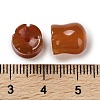 Natural Carnelian(Dyed & Heated) Beads G-G109-01C-3