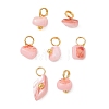 Dyed Natural Freshwater Shell Nuggets Charms PALLOY-JF05032-02-1