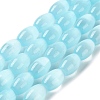 Macaron Color Natural Selenite Beads Strands G-B102-A01-06-1