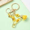Resin & Alloy Enamel Keychain X1-KEYC-YW00134-25-1