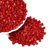 FGB Baking Paint Glass Seed Beads SEED-Q040-09A-05-1