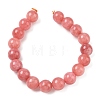 Dyed Natural Malaysia Jade Beads Strands G-G021-02C-22-4
